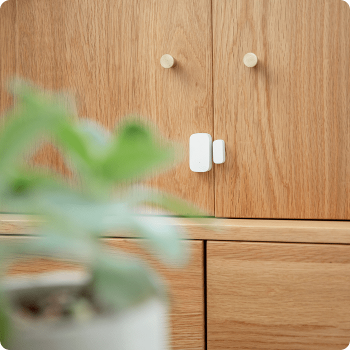 Door & Window Sensor details